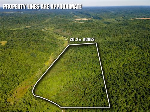 St Rt 141 Parcel 1, 20 Acres : Patriot : Gallia County : Ohio