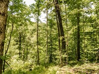222 Acres in Rowan County, KY : Morehead : Rowan County : Kentucky