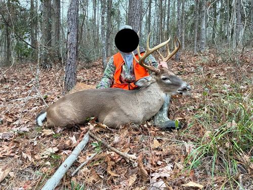 24.48 Acres in Lincoln County, MS : Brookhaven : Lincoln County : Mississippi