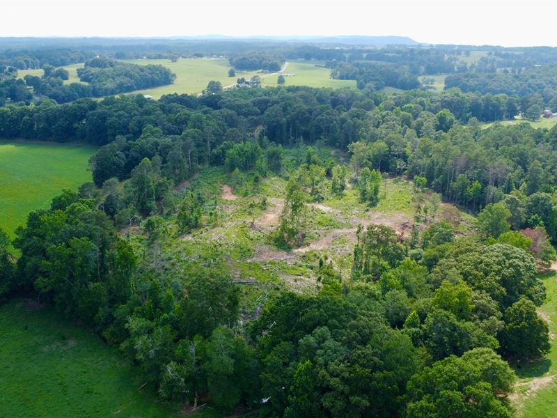 10 Acres with Homesites and Cre : Ranburne : Cleburne County : Alabama