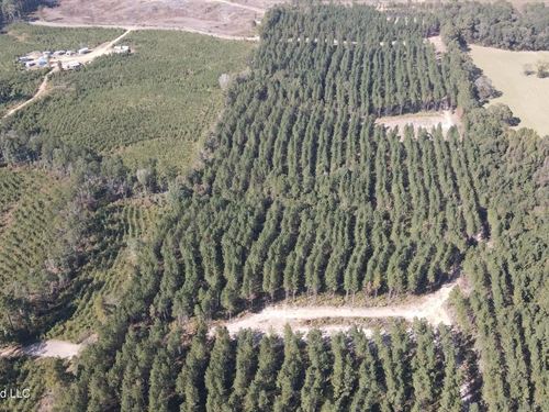 35 Acres For Sale in Pelahatchie : Pelahatchie : Rankin County : Mississippi