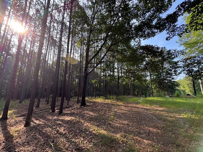 174 Hunting and Recreational Tr : Waverly : Lee County : Alabama
