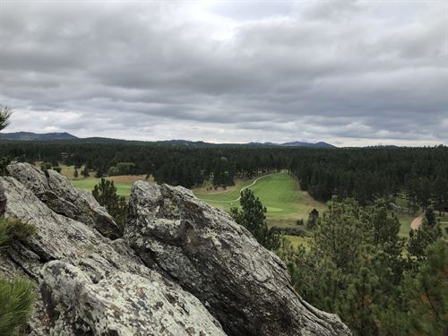 12145 Tara Rd, Custer SD : Custer : South Dakota