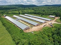 Highland Acres Mega Broiler Farm : Lineville : Clay County : Alabama